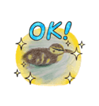 カルガモの絵（個別スタンプ：4）