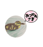 カルガモの絵（個別スタンプ：6）