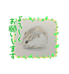 ハムスターの絵（個別スタンプ：1）