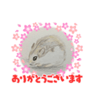 ハムスターの絵（個別スタンプ：2）