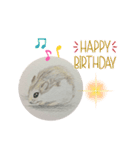 ハムスターの絵（個別スタンプ：6）