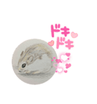 ハムスターの絵（個別スタンプ：7）