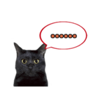 黒猫（くうねるちゃん）スタンプ（個別スタンプ：8）