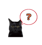 黒猫（くうねるちゃん）スタンプ（個別スタンプ：9）