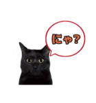 黒猫（くうねるちゃん）スタンプ（個別スタンプ：15）