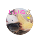 ウーパーと一緒 2（個別スタンプ：2）