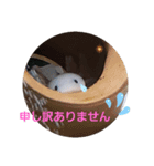 ウーパーと一緒 2（個別スタンプ：3）