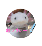 ウーパーと一緒 2（個別スタンプ：4）