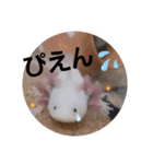 ウーパーと一緒 2（個別スタンプ：6）