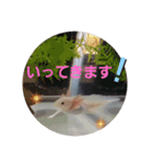 ウーパーと一緒 2（個別スタンプ：13）