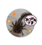 ウーパーと一緒 2（個別スタンプ：14）