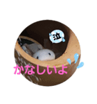 ウーパーと一緒 2（個別スタンプ：15）