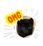杉村家の猫ちゃんたち（個別スタンプ：4）