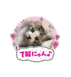 杉村家の猫ちゃんたち（個別スタンプ：16）