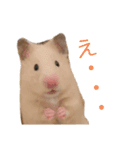 松さん、時々富士さん（個別スタンプ：3）