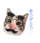 松さん、時々富士さん（個別スタンプ：4）