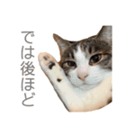 松さん、時々富士さん（個別スタンプ：8）