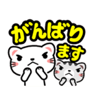 It is a cat friend decaletter from today（個別スタンプ：20）