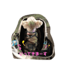 いろいろうーにゃん2（個別スタンプ：18）