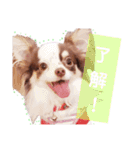 アリスの日常で使える言葉（個別スタンプ：2）