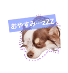 アリスの日常で使える言葉（個別スタンプ：3）