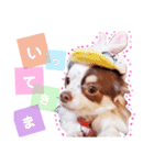 アリスの日常で使える言葉（個別スタンプ：6）