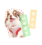 アリスの日常で使える言葉（個別スタンプ：9）