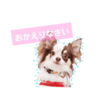 アリスの日常で使える言葉（個別スタンプ：10）