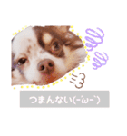 アリスの日常で使える言葉（個別スタンプ：14）