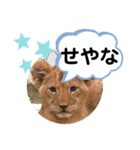 たけしのスタンプ その25（個別スタンプ：3）