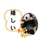 たけしのスタンプ その25（個別スタンプ：4）