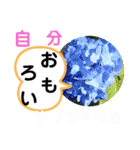 たけしのスタンプ その25（個別スタンプ：6）