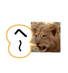 たけしのスタンプ その25（個別スタンプ：7）