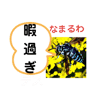 たけしのスタンプ その25（個別スタンプ：10）