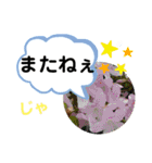 たけしのスタンプ その25（個別スタンプ：12）