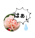 たけしのスタンプ その25（個別スタンプ：14）