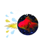 たけしのスタンプ その25（個別スタンプ：20）