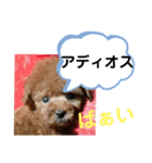 たけしのスタンプ その25（個別スタンプ：21）