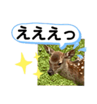 たけしのスタンプ その25（個別スタンプ：23）