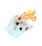 今日のきなこスタンプ（個別スタンプ：1）
