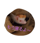 いつも元気だよ（個別スタンプ：1）