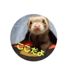 いつも元気だよ（個別スタンプ：4）