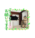 黒猫メロンくんとキジトラ猫メイちゃん☆10（個別スタンプ：2）