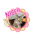 黒猫メロンくんとキジトラ猫メイちゃん☆10（個別スタンプ：3）