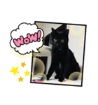 黒猫メロンくんとキジトラ猫メイちゃん☆10（個別スタンプ：4）