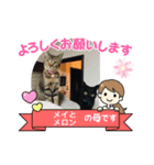 黒猫メロンくんとキジトラ猫メイちゃん☆10（個別スタンプ：5）