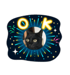 黒猫メロンくんとキジトラ猫メイちゃん☆10（個別スタンプ：6）