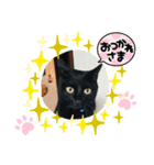 黒猫メロンくんとキジトラ猫メイちゃん☆10（個別スタンプ：7）
