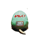 KAME（個別スタンプ：3）