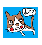 猫ちゃん動作（個別スタンプ：12）